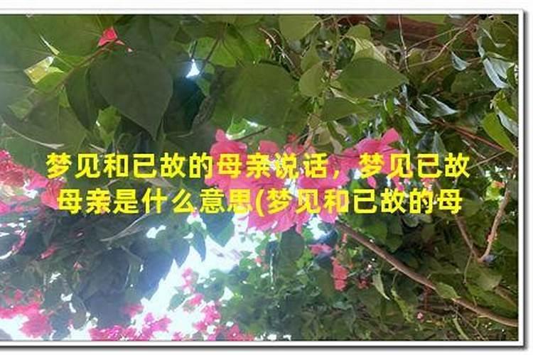 梦到自己已故去的母亲什么意思