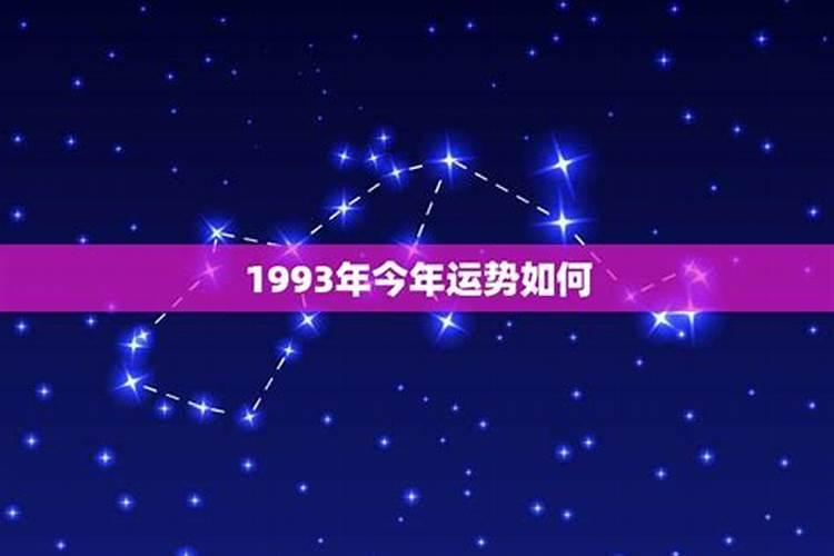 95年今年整体运势