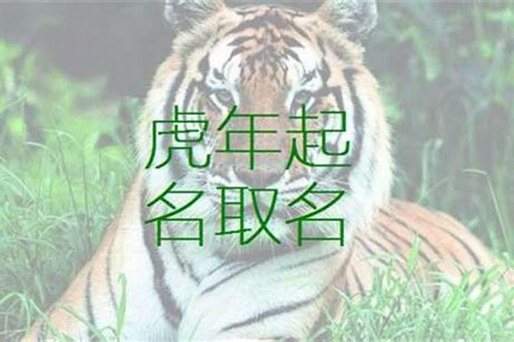 农历正月十五吃什么打一生肖