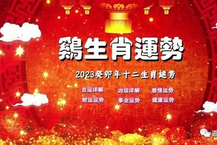 属鸡腿2023年运势及运程