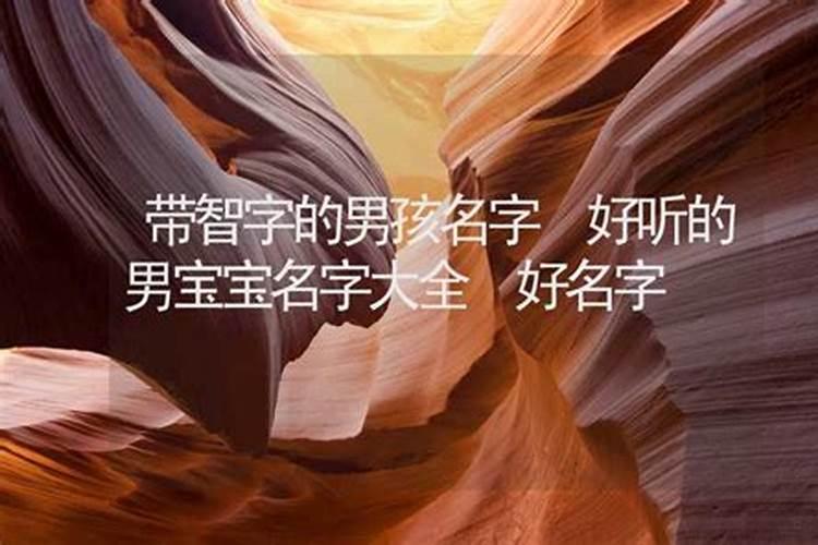 属兔人这几年的运气