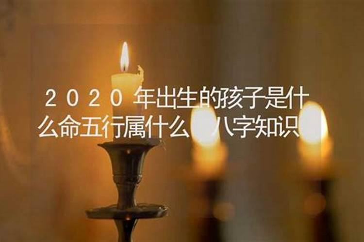 202几年是兔的本命年是哪一年的