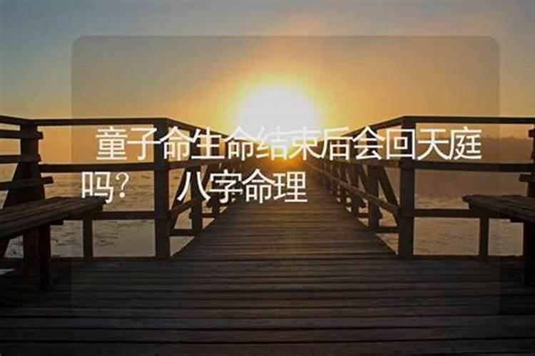 梦见树上挂满了红色的果子