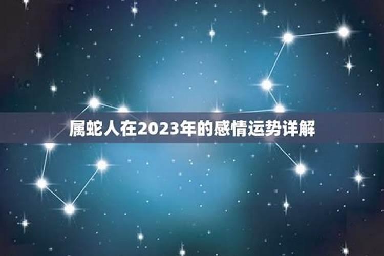 六五年属蛇人今年感情运势