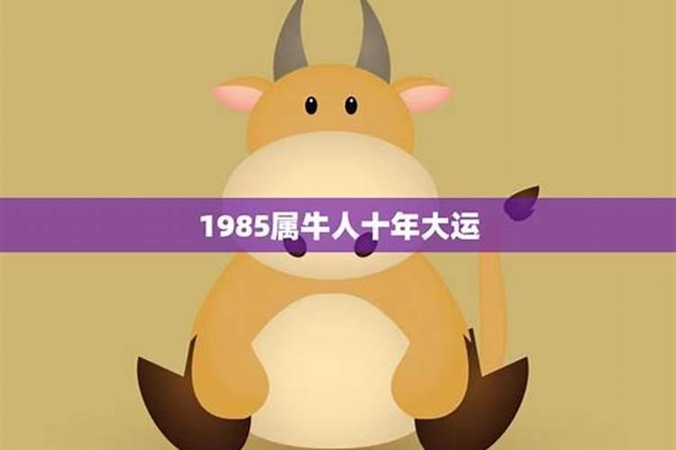 1985年属牛10运势如何