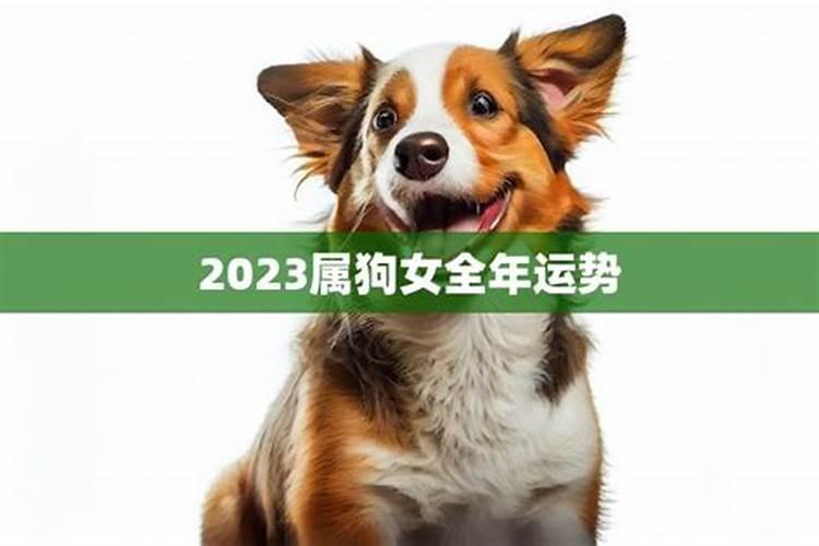 属狗的女孩2023年运势如何呢