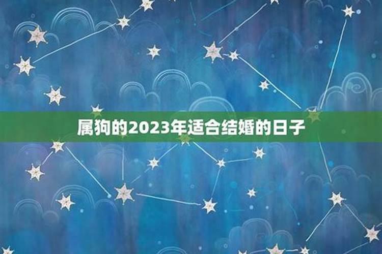 属狗女人的2023年运程详解