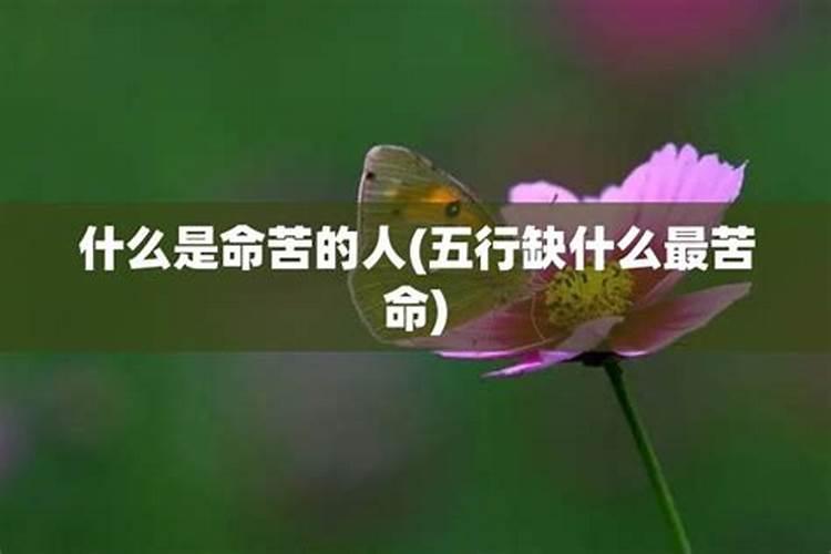 端午节十大风俗