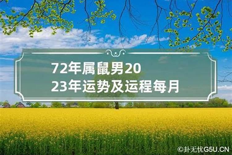 72年属鼠女人2023年的命运