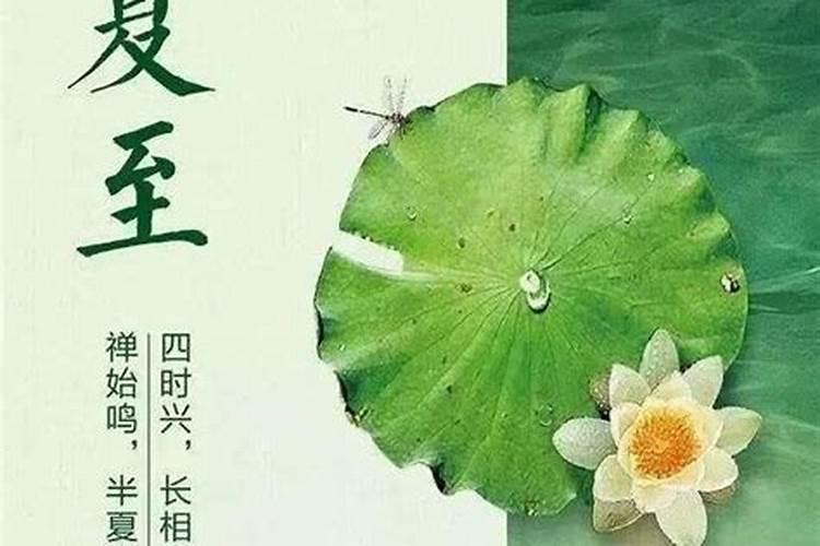 夏至节气应该注意什么