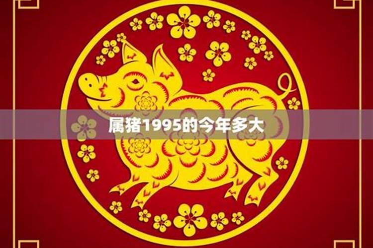 今年1995年运势如何