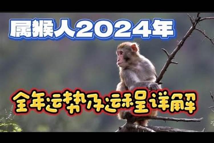 属鸡马2021年运势及运程详解