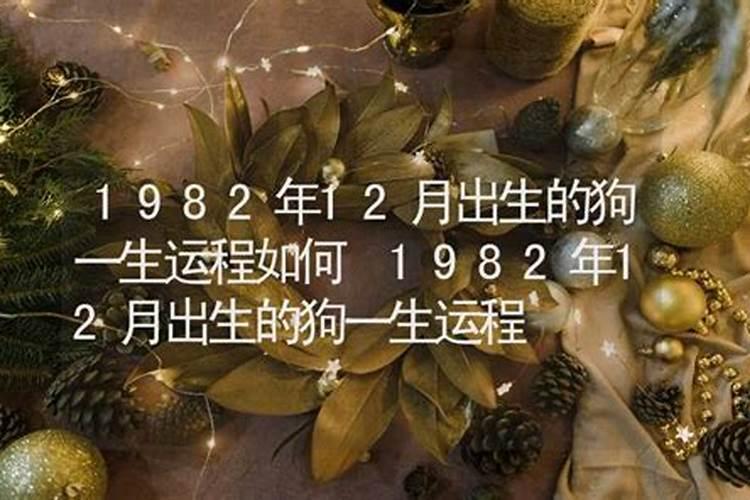 蛇年出生的人2024年运势及运程