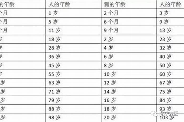 怎么从八字看桃花好不好