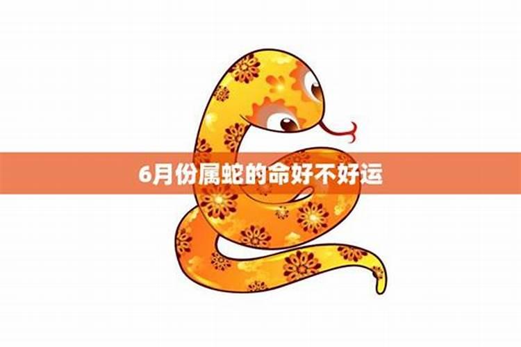 属蛇的6月运势