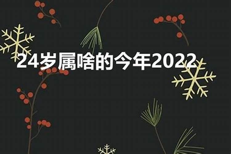 今年24岁属什么生肖属相