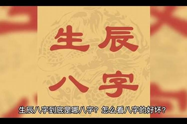 佛山清明祭扫