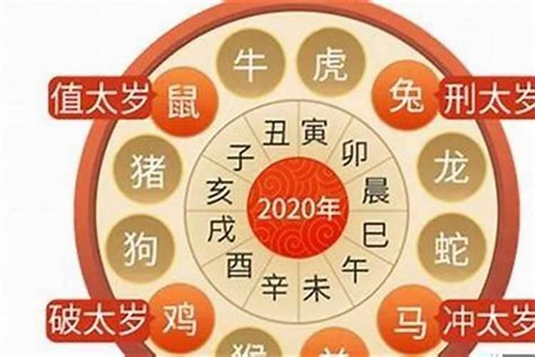 属虎2021犯太岁么