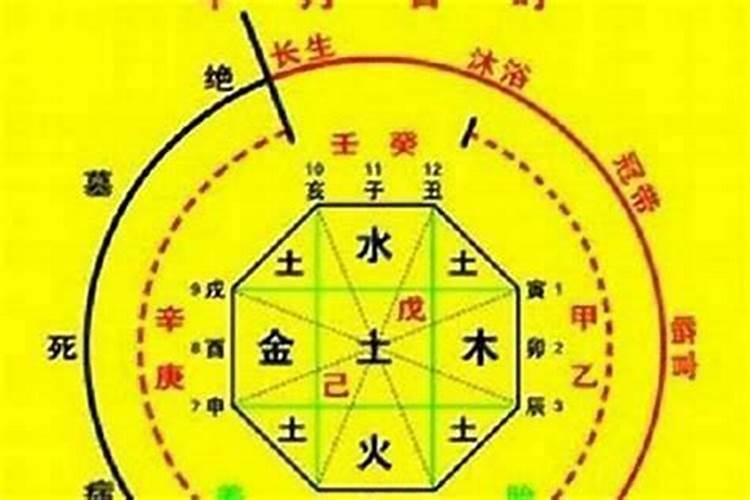 咋样看八字阴阳属性