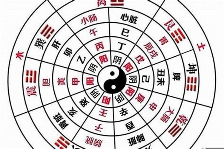 怎么看八字是阴阳金