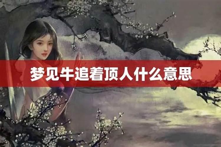 梦见牛追别人怎么解释