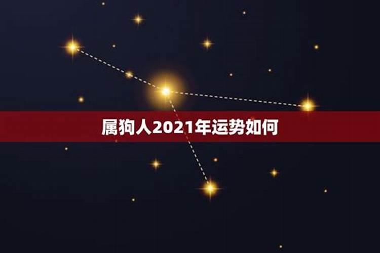 属狗2021年运势及运程每月运势