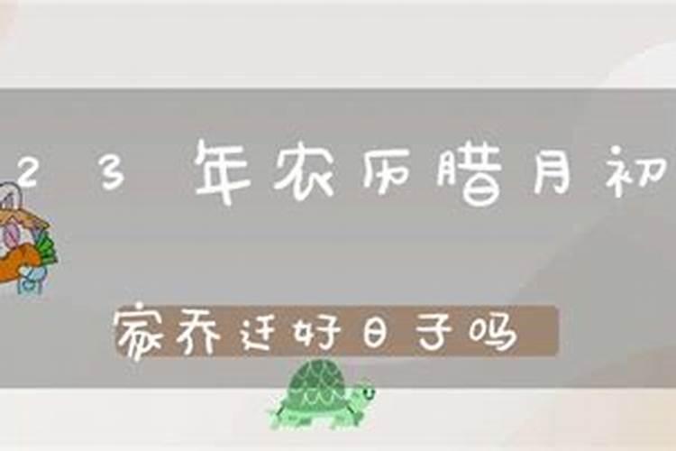 农历腊月13是几月几号