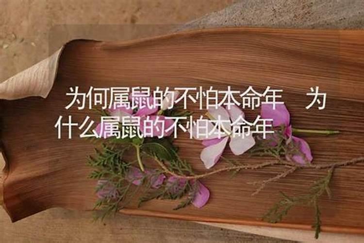 女鸡和男蛇相配婚姻如何