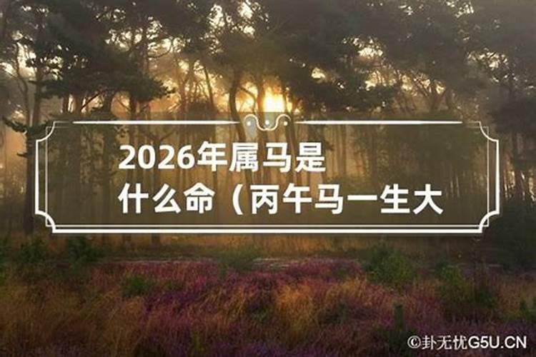 丙午年出生的人在2020年的运势如何