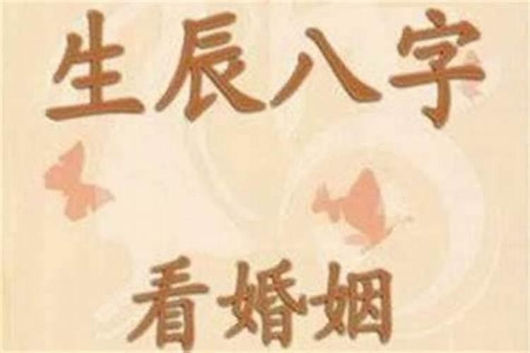 梦到别人生双胞胎代表什么数字