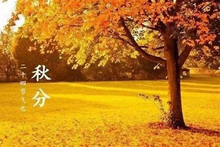 二十四节秋分是什么意思