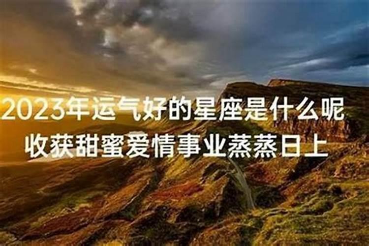 金牛座的爱情星座是什么