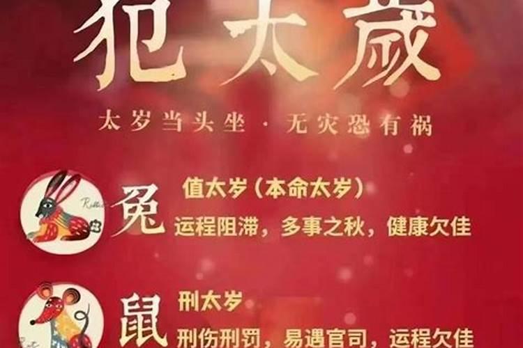 香港算命师傅什么派