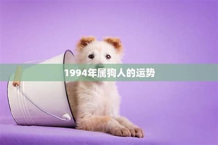 1994年属狗的人2023年运势