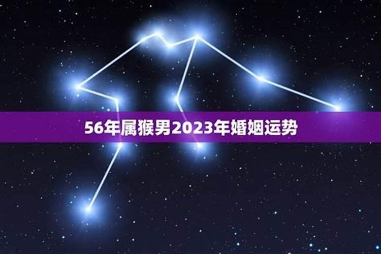 2023属猴人全年运势男女离婚吗为什么