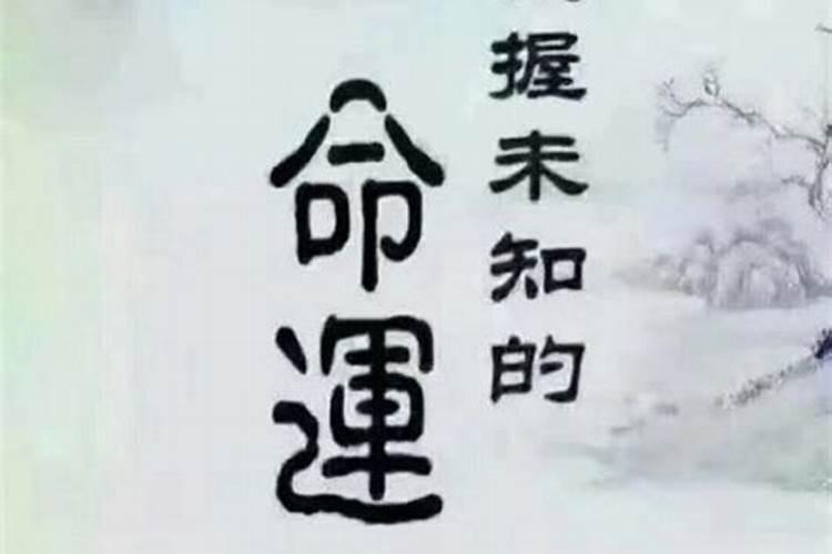 婚姻宫神之位代表什么生肖呢