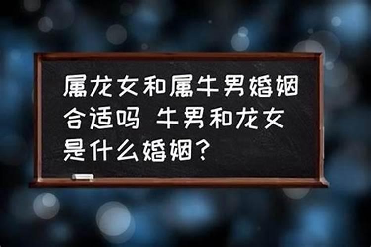 75年兔人2024年运程