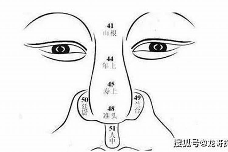 1986年农历正月十六日出生的人命运