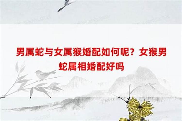 梦到龙在床上飞来飞去什么意思周公解梦