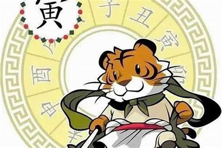 属猪虎年运势2023年