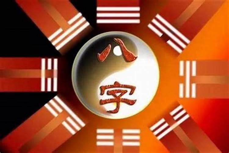 查属兔人今年的运程怎么样