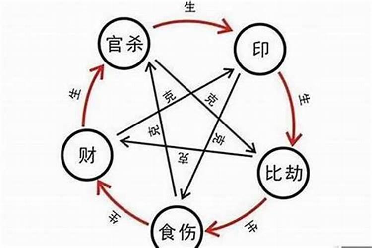 梦到两头大水牛打架