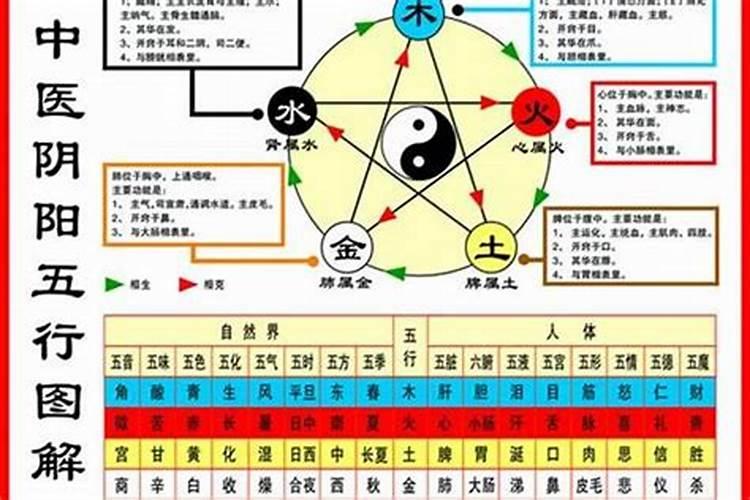 怎么看自己五行什么命格