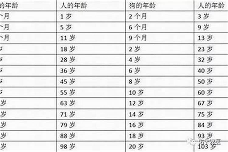 梦见河里面涨洪水什么意思呀