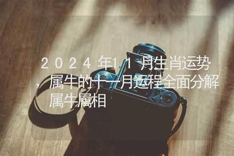 47年2021年运势