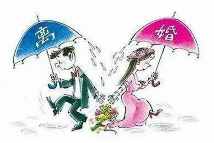 兔与马婚配合适吗