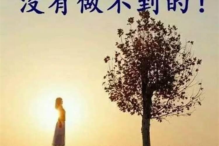 属羊女人七月生的命运