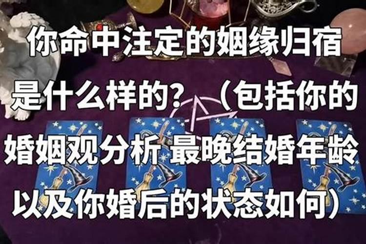 梦见一只千年老乌龟