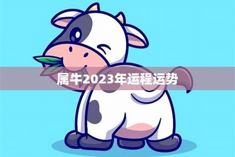 属牛的2023年运程