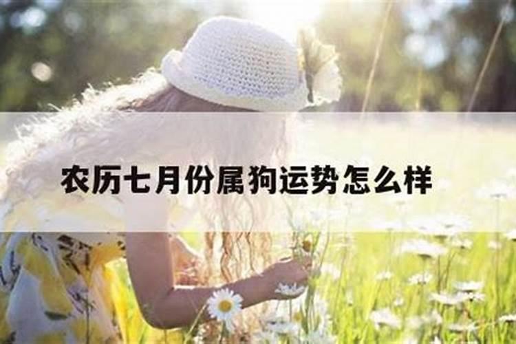 属狗7月份运势2021年